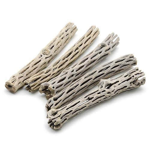 Cholla Wood 15cm
