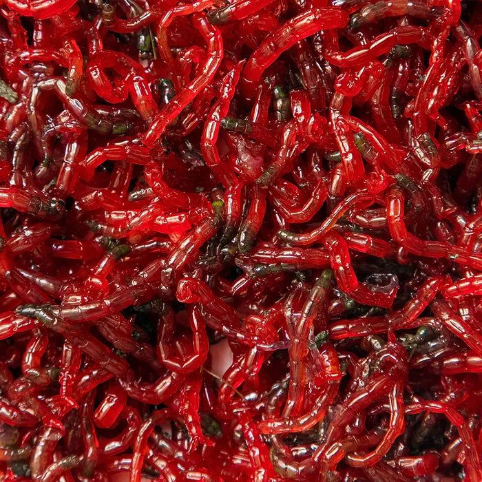 Freeze Dried Bloodworms 20g