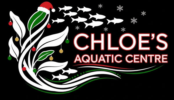 Chloe's Aquatic Centre