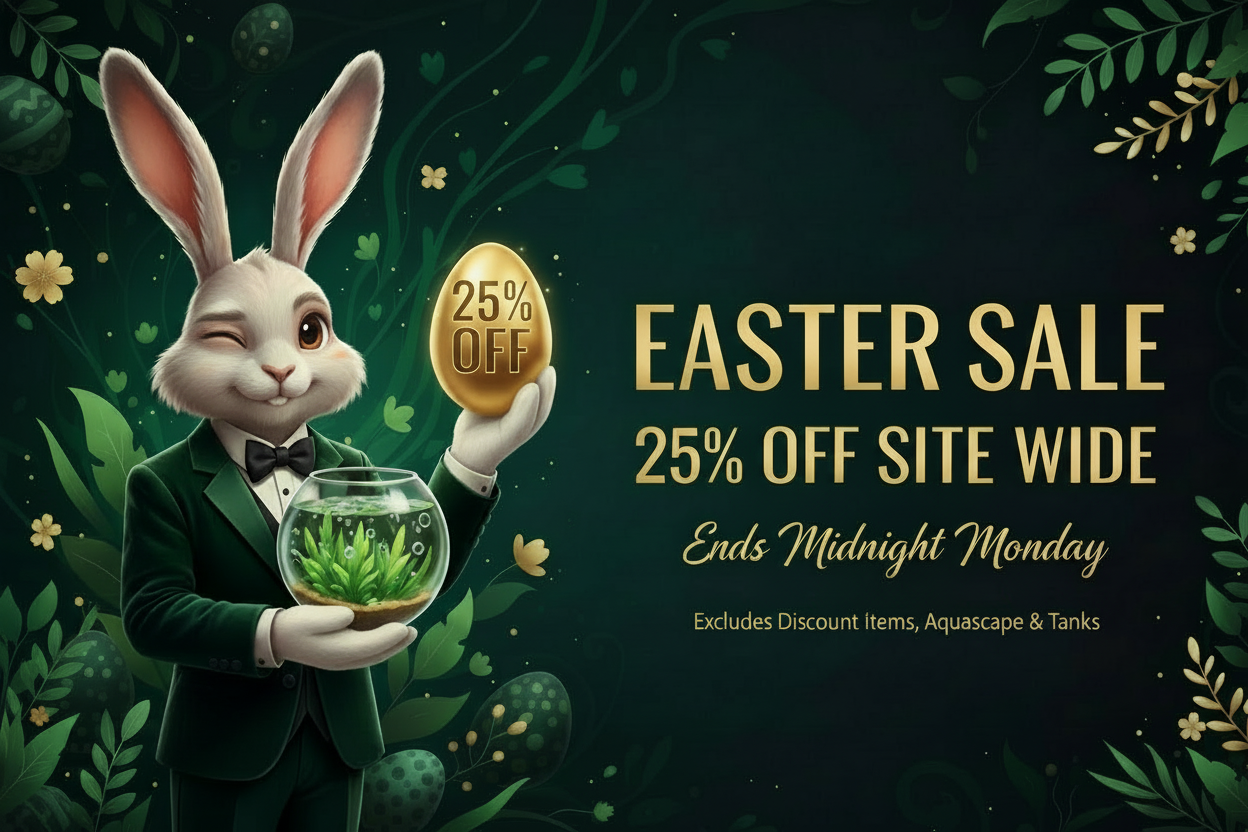 Easter Sale Banner – Dark Brown Eyes, Right Wink