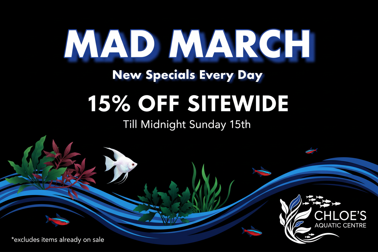 Mad March Banner - Final Version