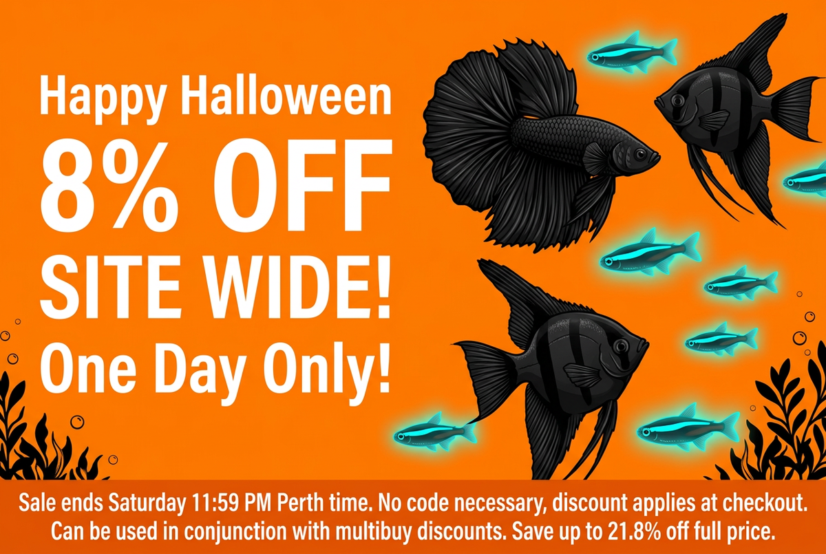 Orange Halloween banner with redrawn black fish, glowing neon tetras, and sale details
